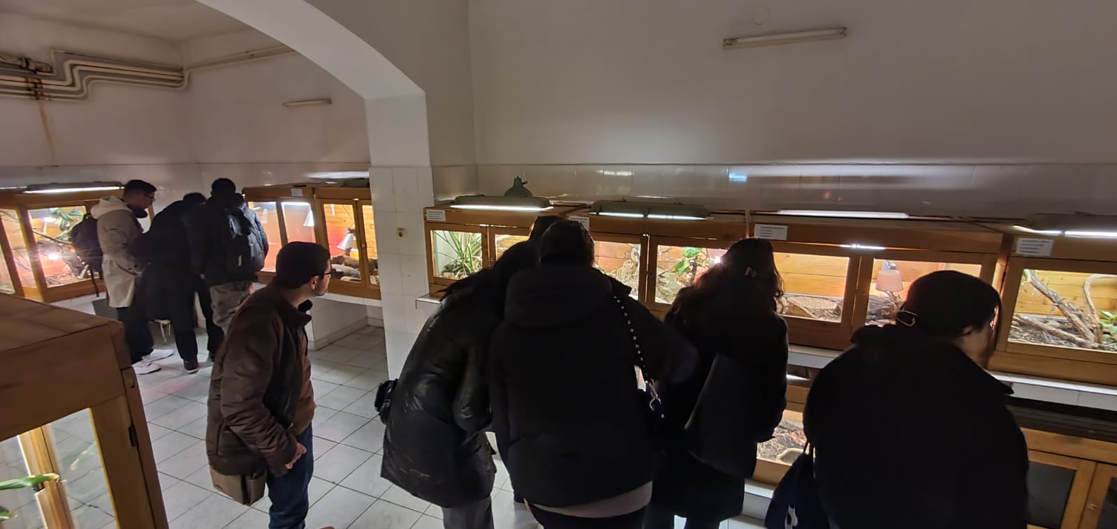 Vocea străinilor românofoni