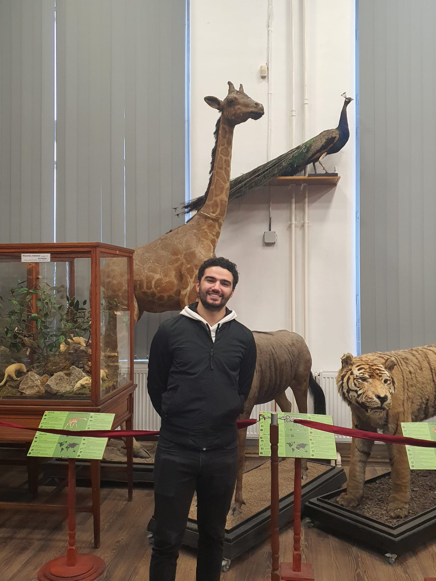 Vocea străinilor românofoni