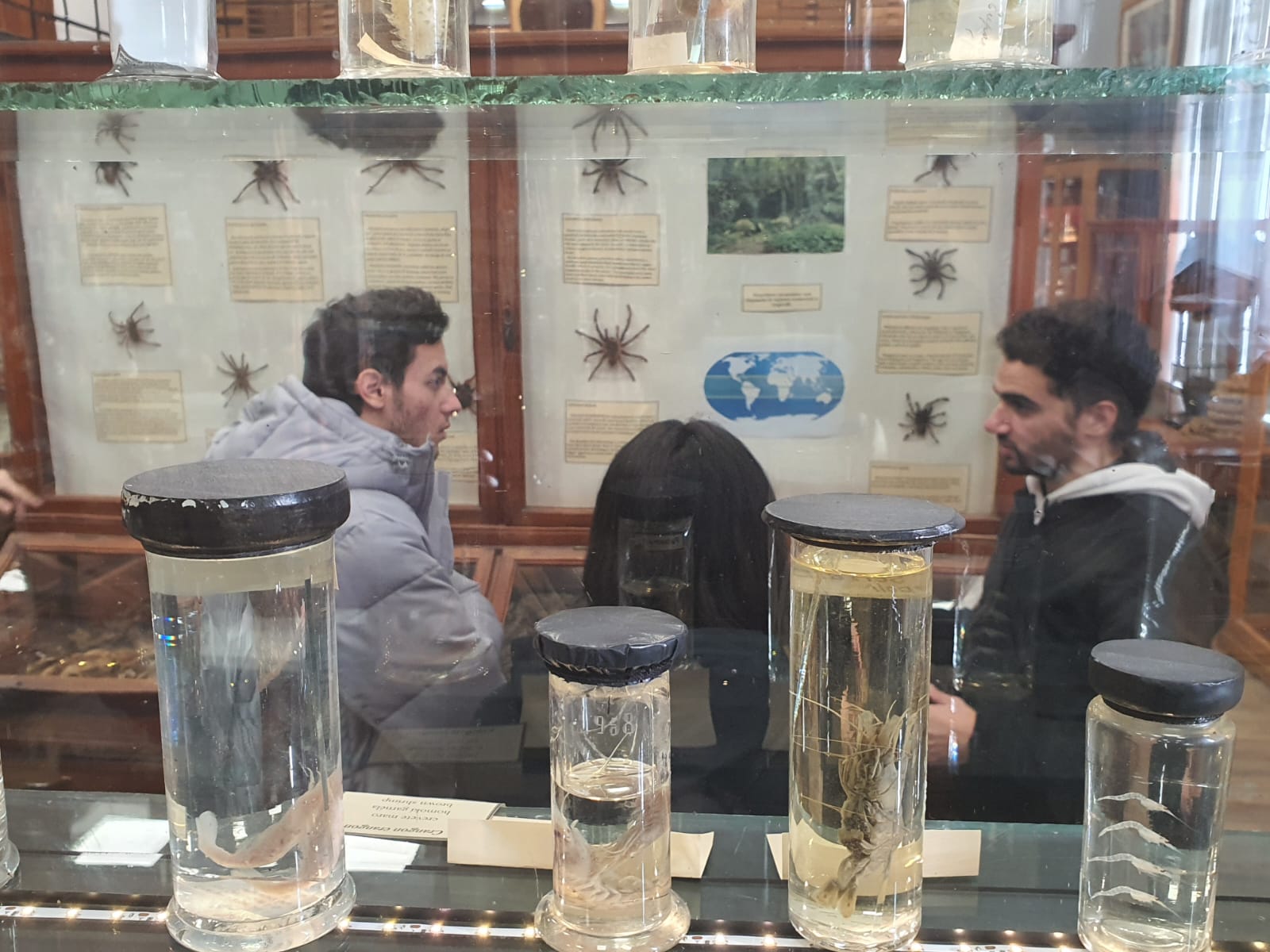 Vocea străinilor românofoni